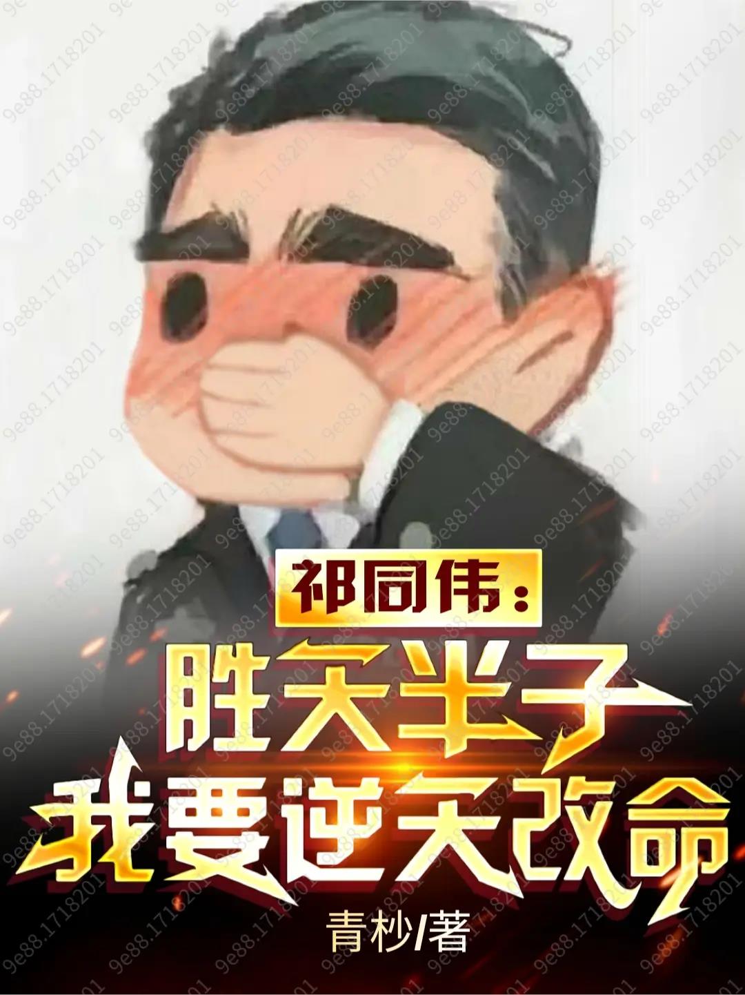 主角任也的小说星痕之门